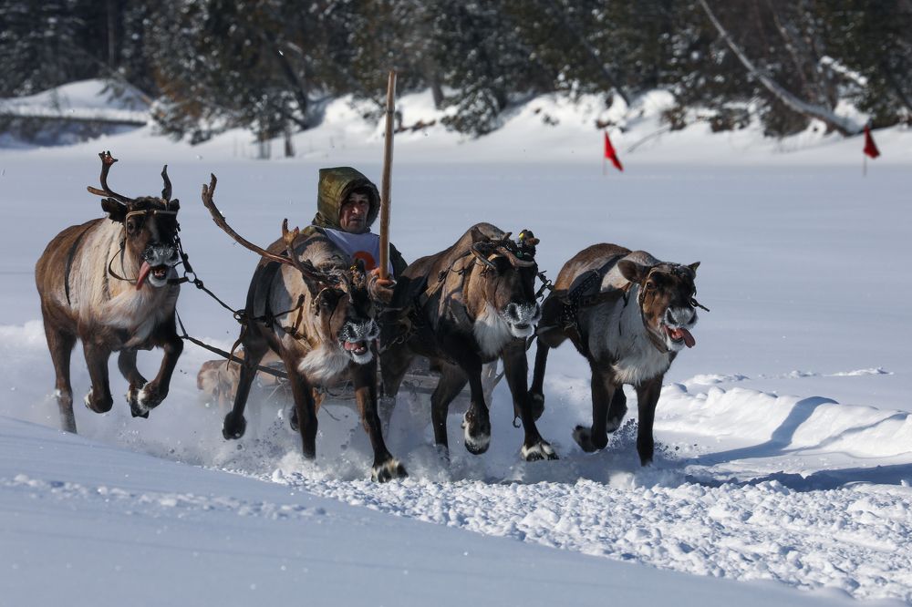 Гонка в Казыме