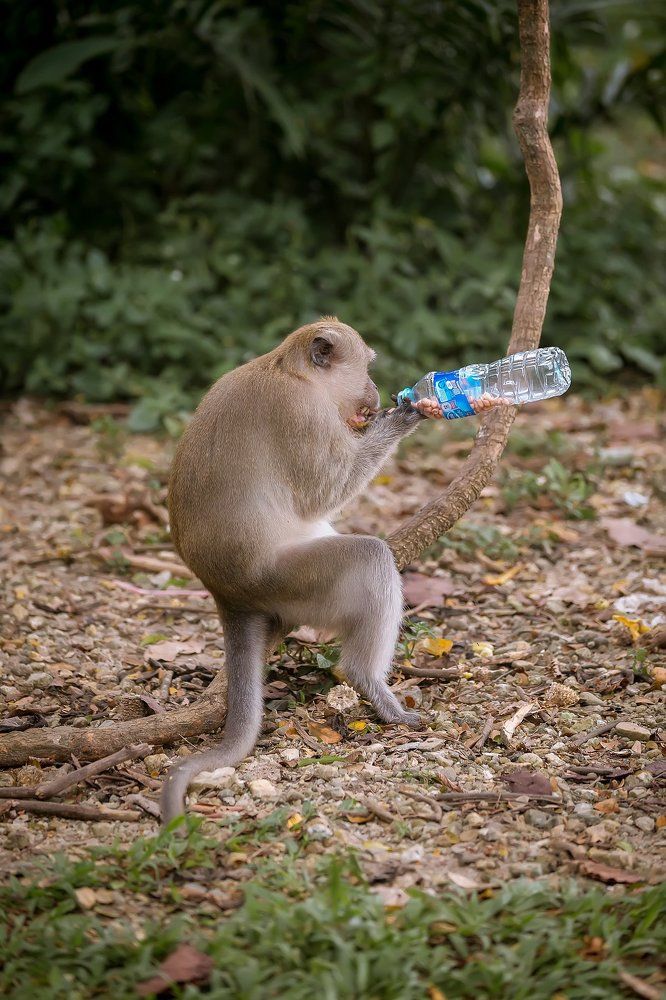 Приятного аппетита