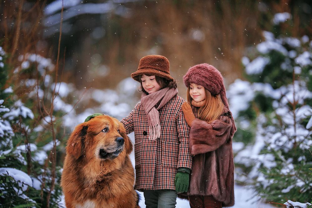 Лесная история