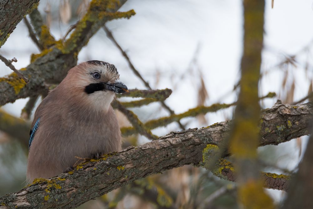 Photograph by Антон Мостовенко