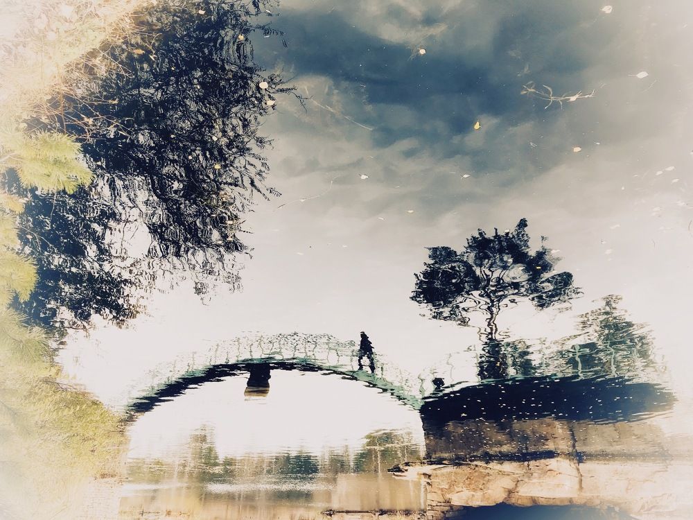 Подводный мир.