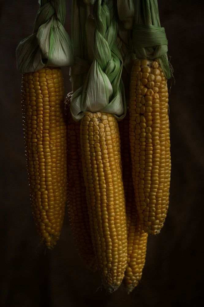 Photograph by Оксана Новицкая