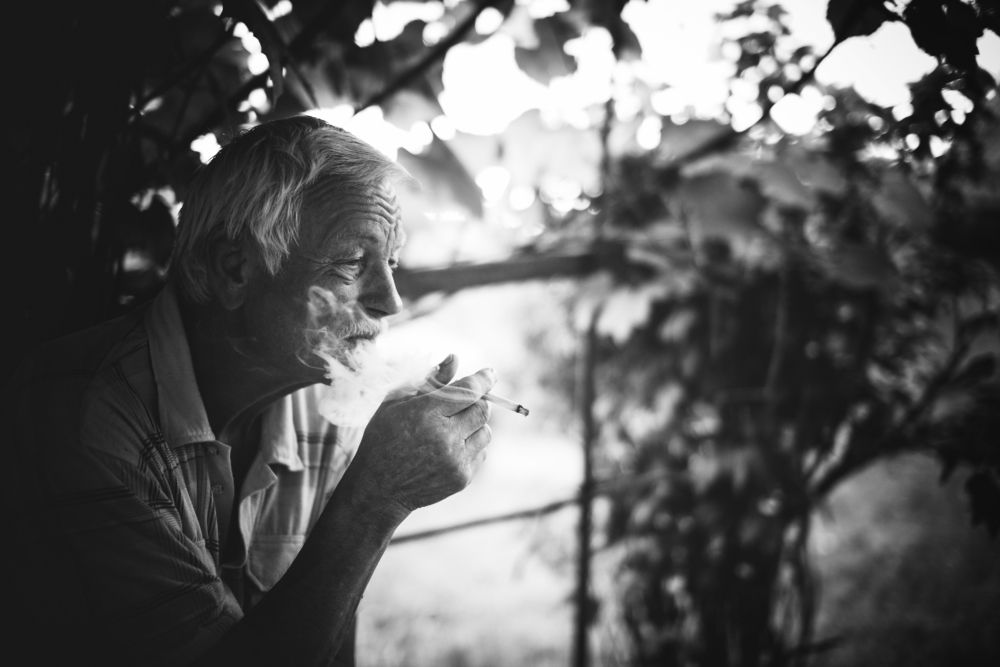 Photograph by Ольга Могдалёва