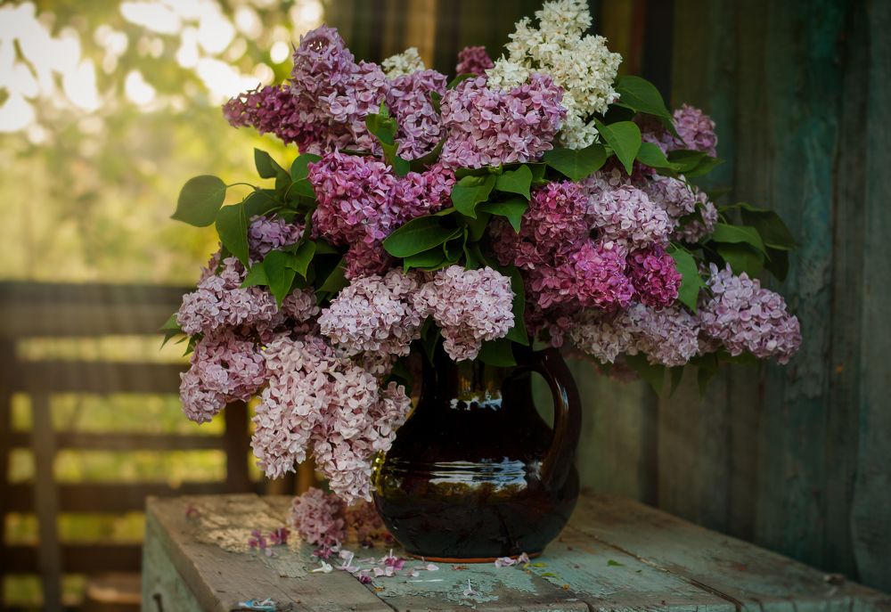 Photograph by Оксана Новицкая