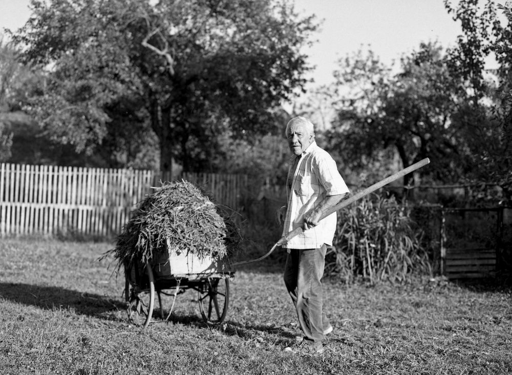 A Lifetime Of Hard Work