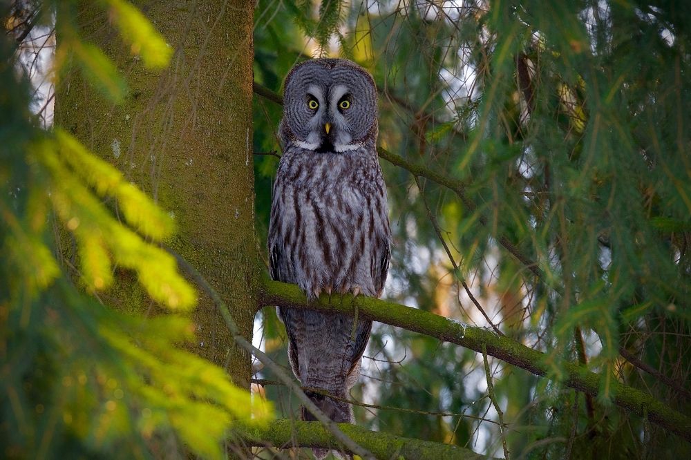 Эти глаза напротив...