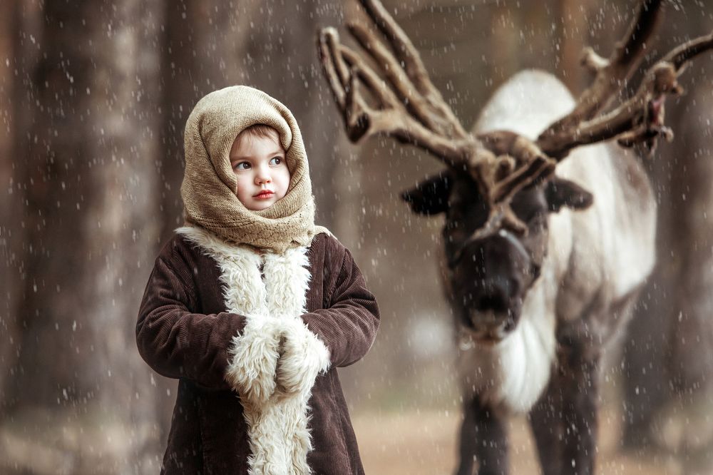 Встреча в лесу