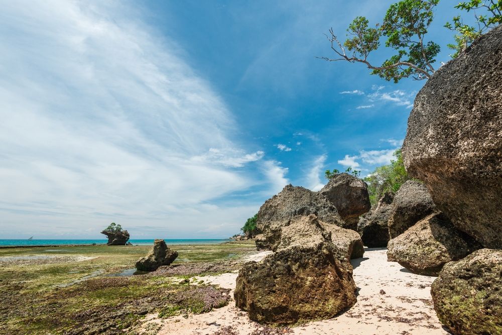 Дикий пляж на Занзибаре