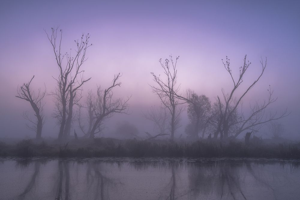 зал ожидания для птиц