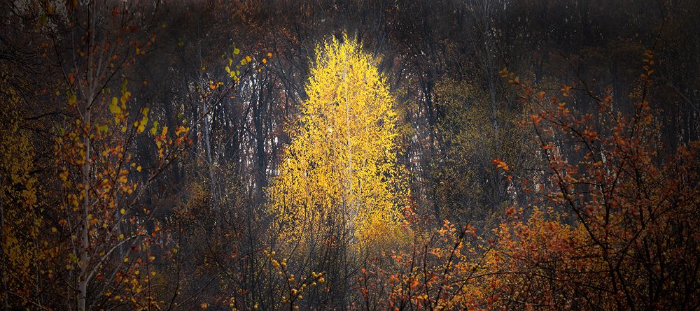ВО ПОЛЕ БЕРЕЗКА СТОЯЛА...