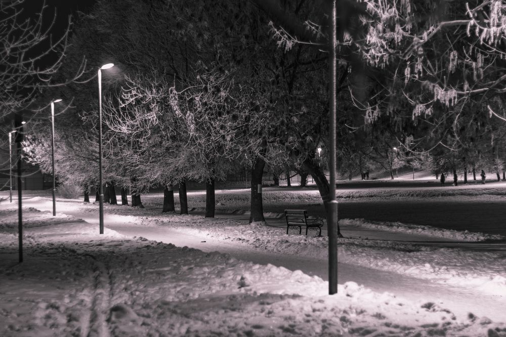 Ночной зимний парк