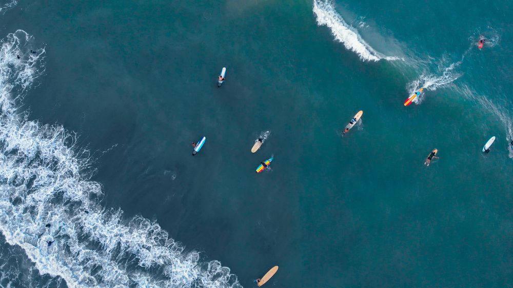 This guy catched the wave first in his life