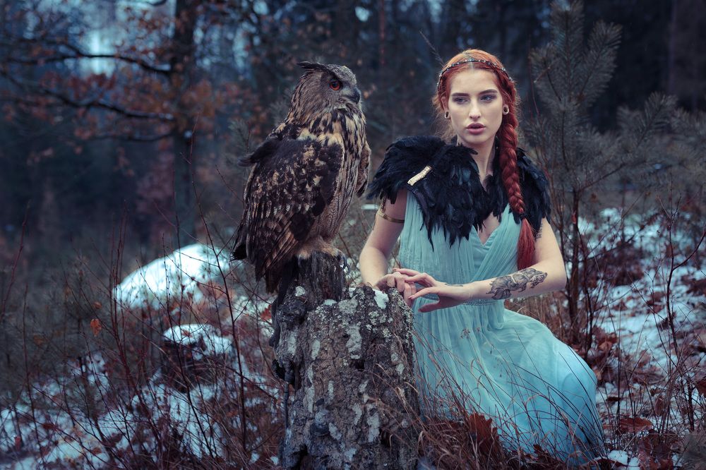 Winter time with owls