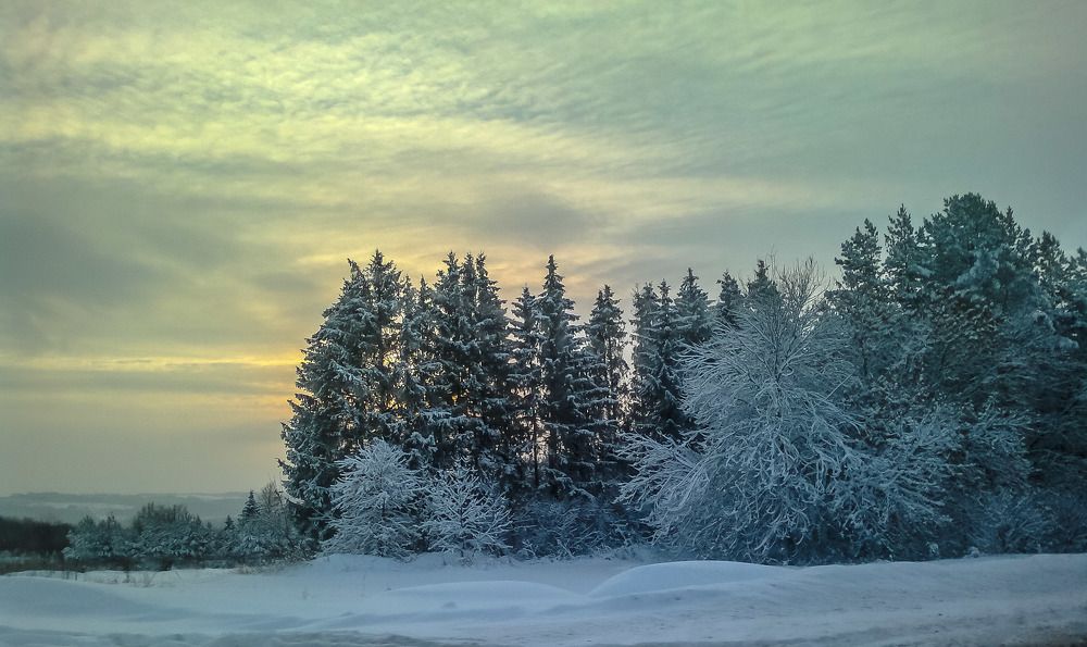 Photograph by Алексей Ошвинцев