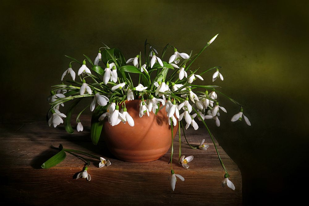 Подснежники