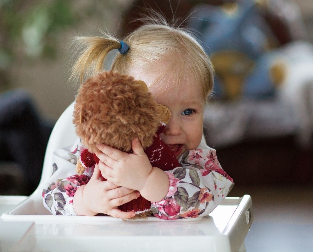 Любимый ёжик