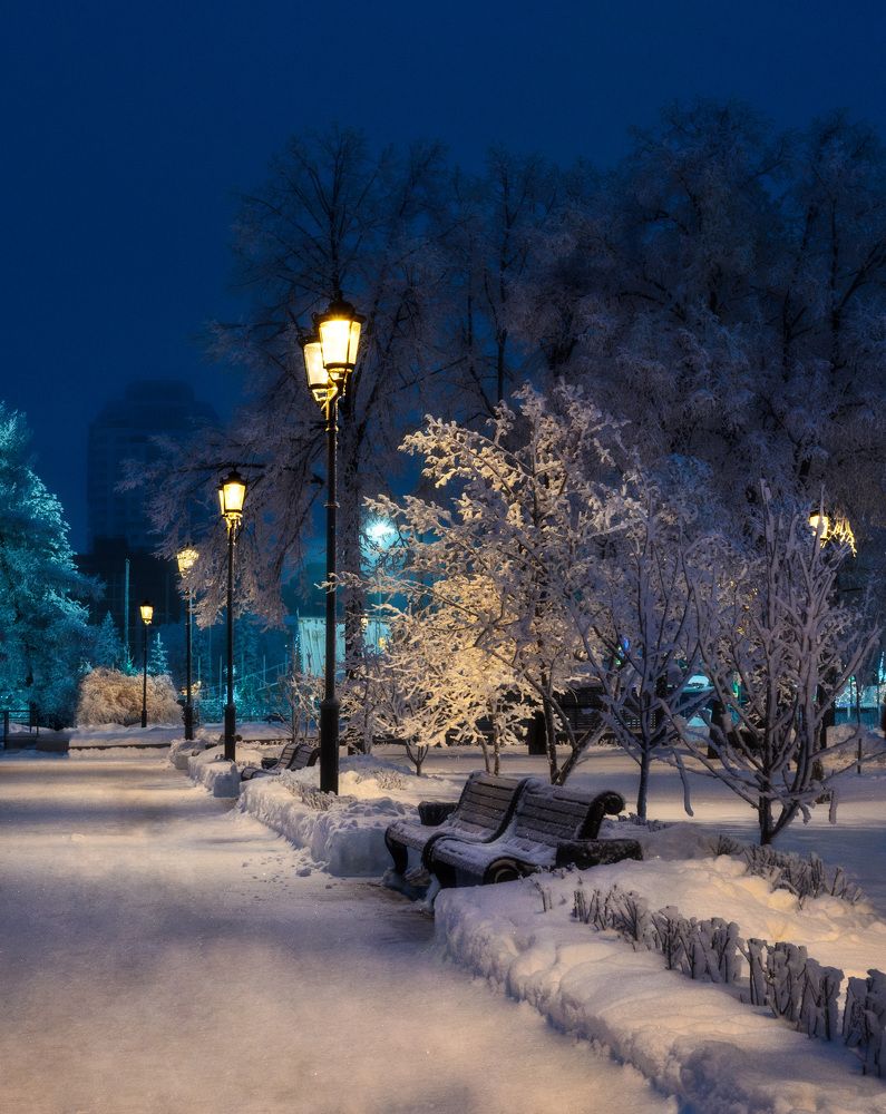 Последнее утро 2018 года.