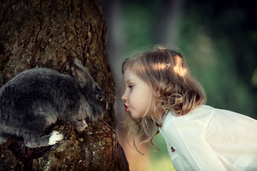 Photograph by Ирина Амосова