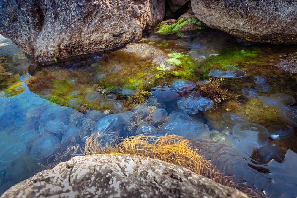 Photograph by Олег