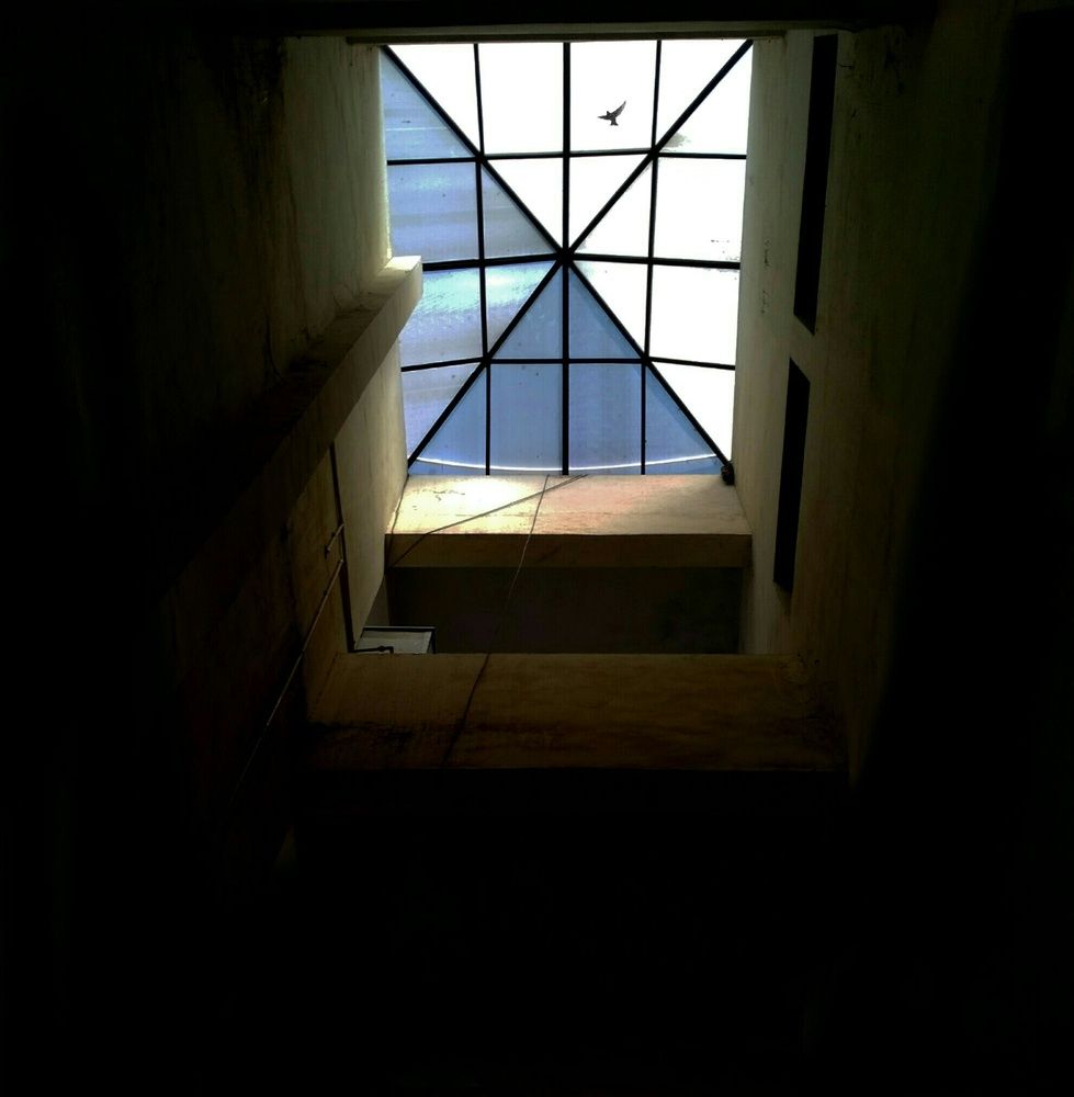 Frame