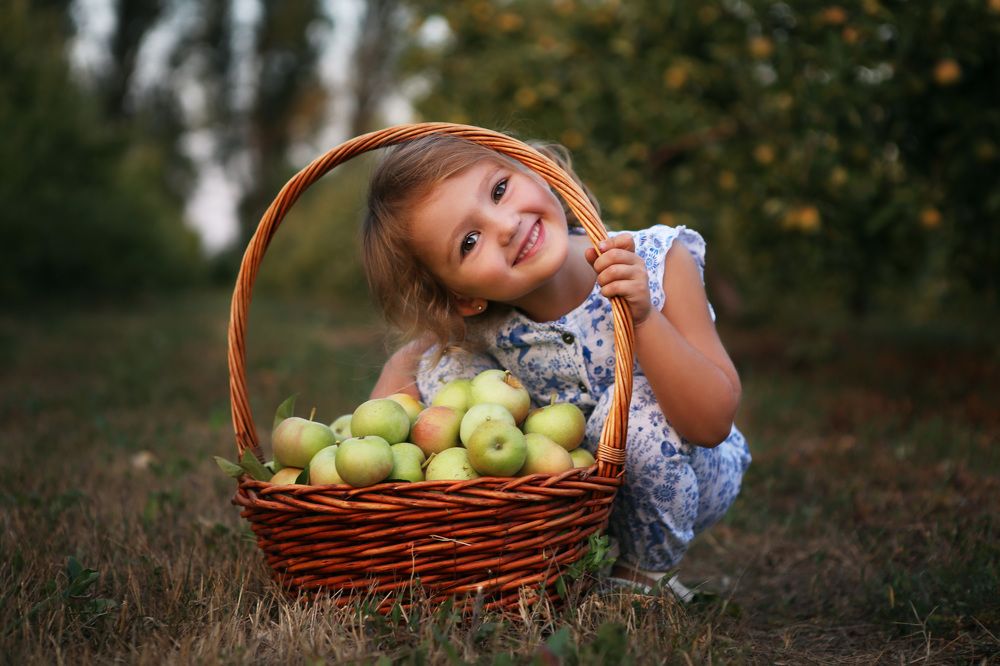 Собираем урожай