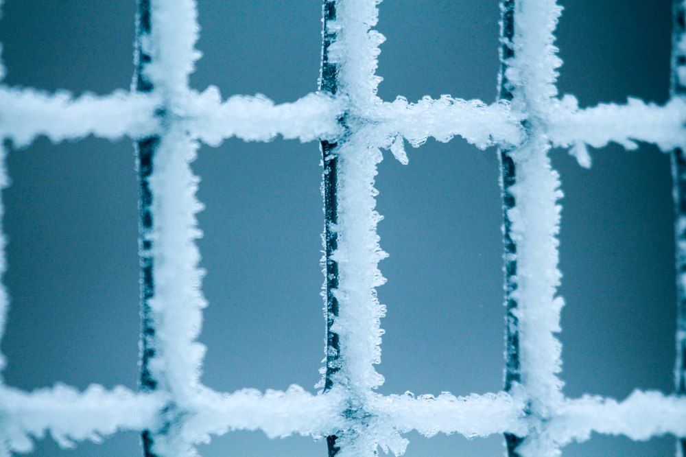 Photograph by Элис