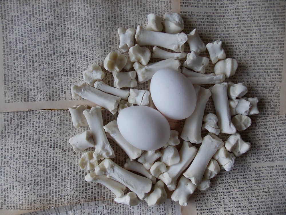 time nest