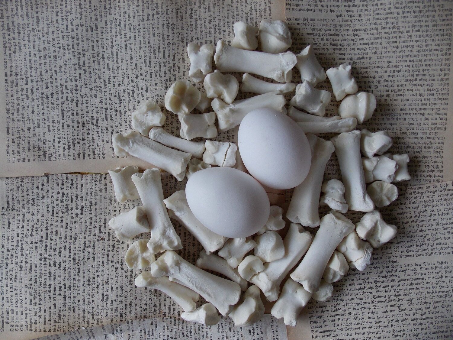 time nest