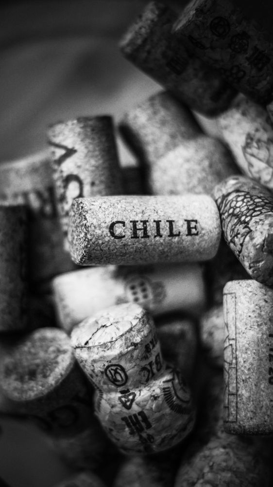 Photograph by Inna Kuznetsova