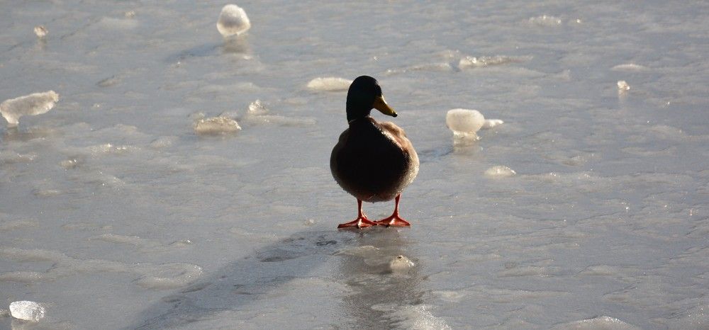 Photograph by Naim Iseni