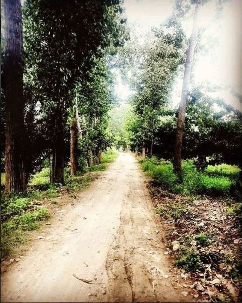 Photograph by REETIKA