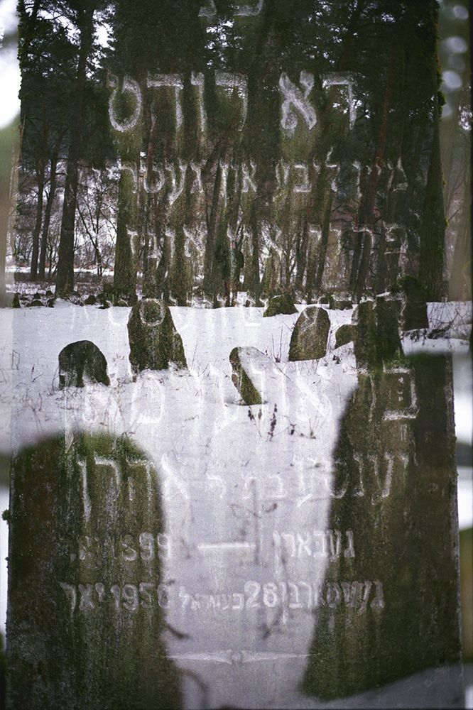 Подснежники