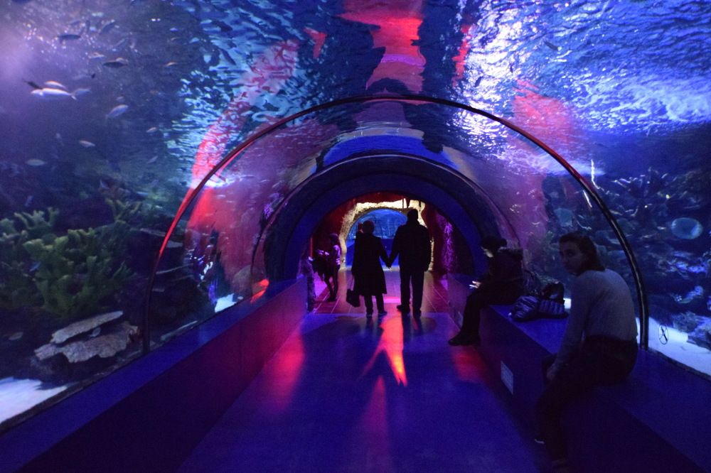 Love makes everything magical