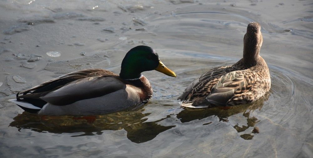 Photograph by Naim Iseni