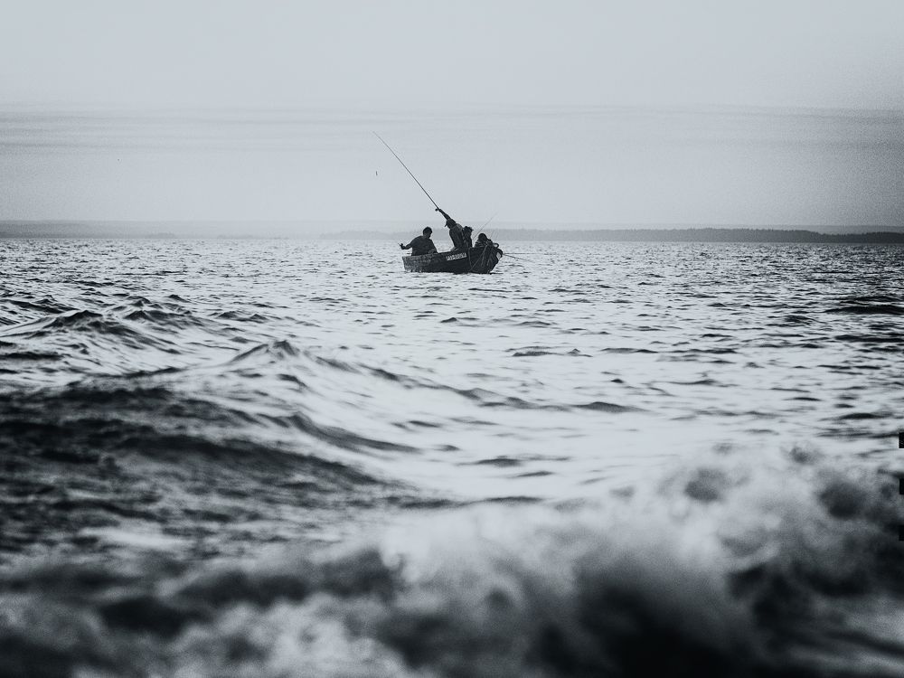 Photograph by Андрей Баскевич