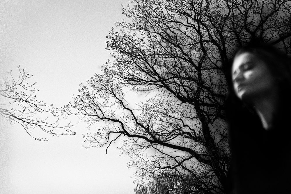 Проистекая