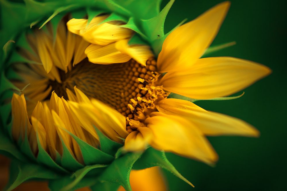 Photograph by Дмитрий Ру