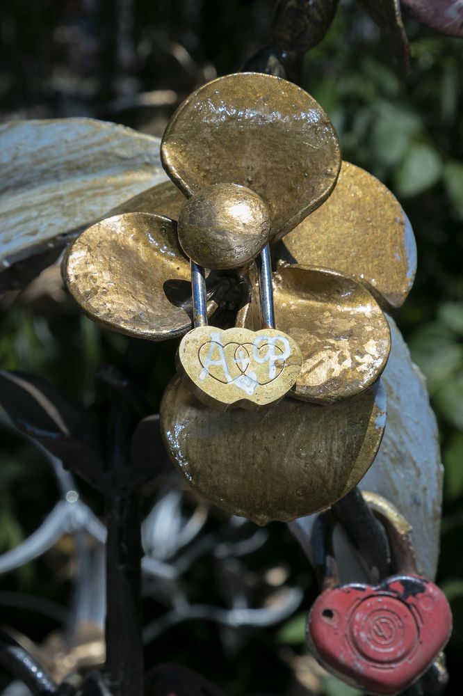 Счастье или Тюрьма?