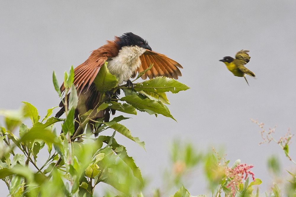 Пролетая над ...