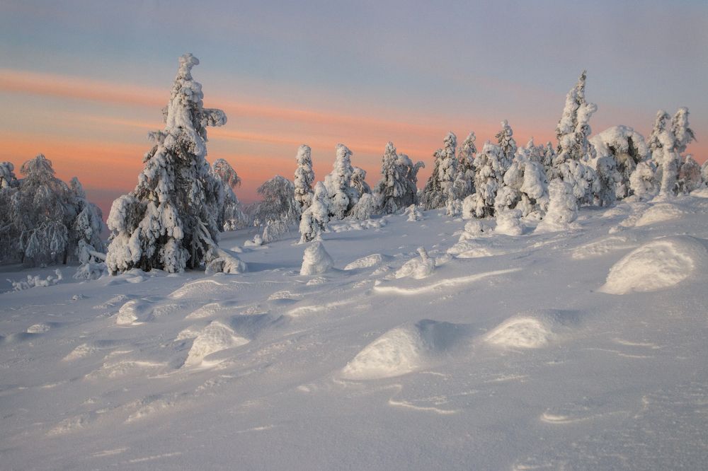 Снежное царство