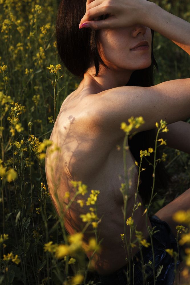 июльские узоры