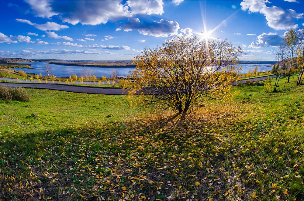 Чудеса осени