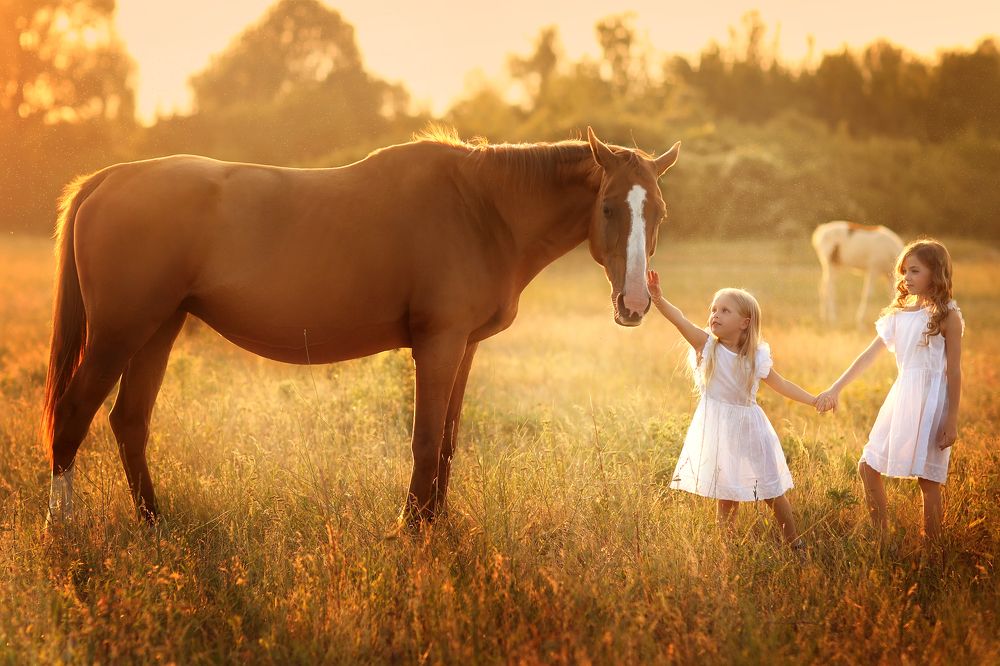 Photograph by Дудко Рина