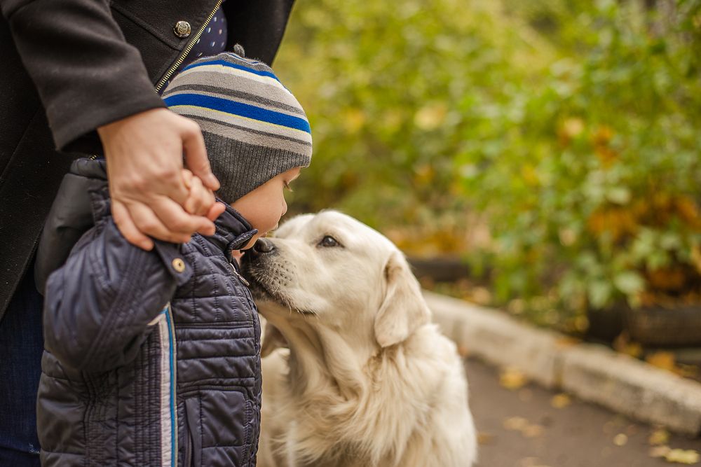 Первая встреча