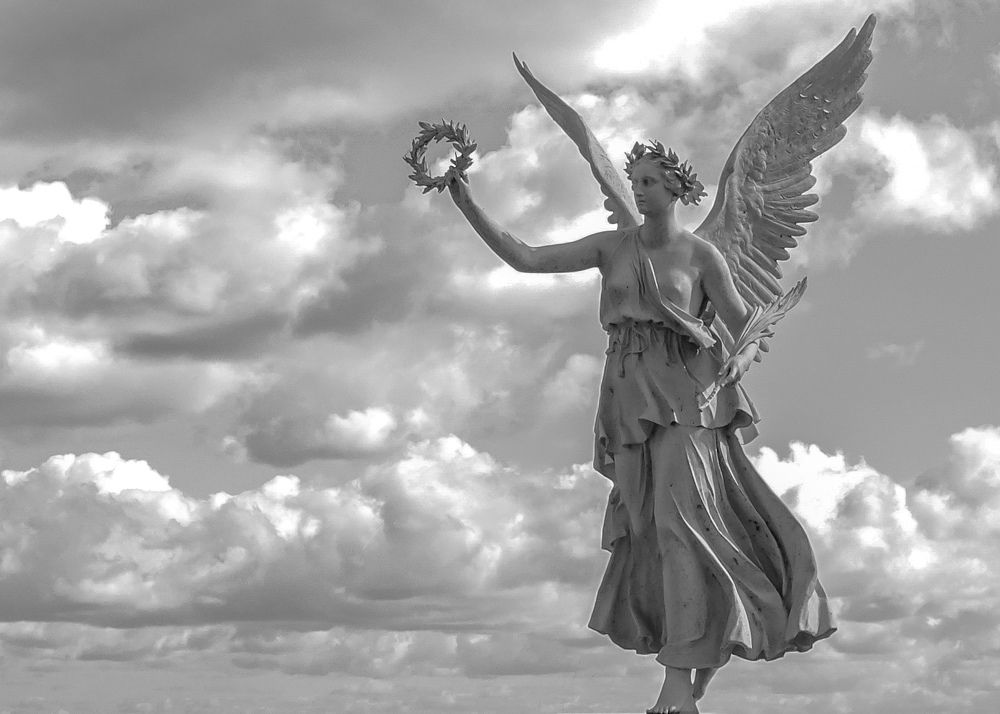 Фотография автора mohamadjavad yavarinaman