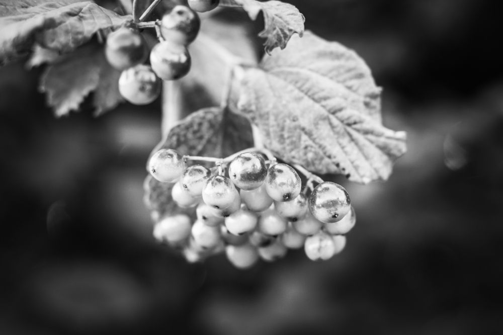 Photograph by Inna Kuznetsova