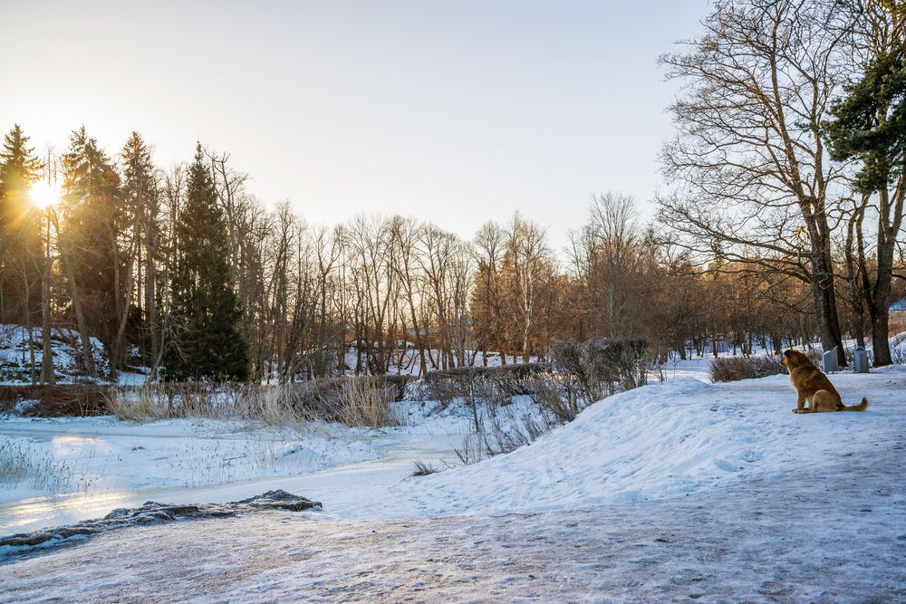 Солнце встает