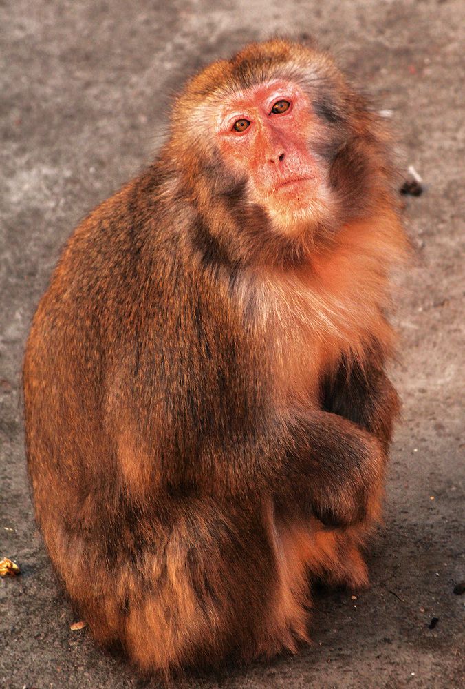 What are you looking at?:)На что смотрите?:)