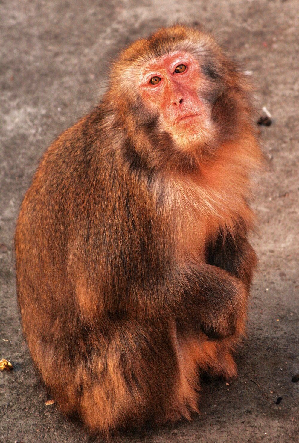 What are you looking at?:)На что смотрите?:)