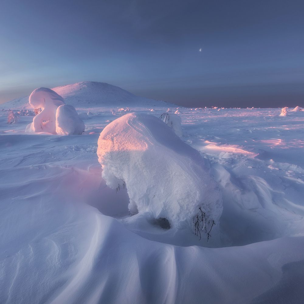 Флора Северного Урала